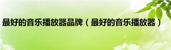 最好的音樂播放器品牌（最好的音樂播放器）