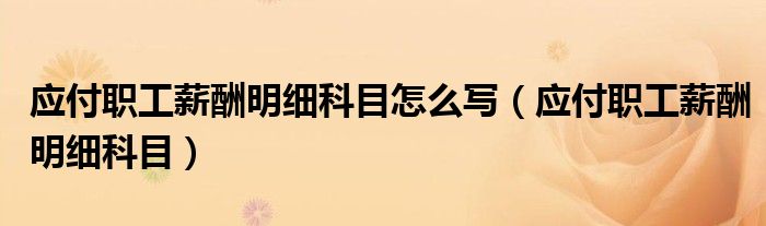 應(yīng)付職工薪酬明細(xì)科目怎么寫（應(yīng)付職工薪酬明細(xì)科目）