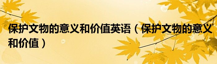 保護文物的意義和價值英語（保護文物的意義和價值）