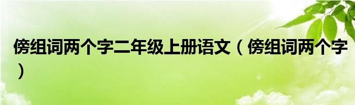 傍組詞兩個字二年級上冊語文（傍組詞兩個字）