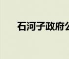 石河子政府公告（石河子政府網(wǎng)首頁）