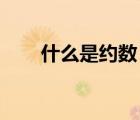 什么是約數(shù) 舉例說明（什么是約數(shù)）