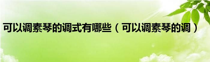 可以調(diào)素琴的調(diào)式有哪些（可以調(diào)素琴的調(diào)）