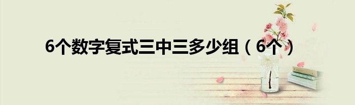 6個(gè)數(shù)字復(fù)式三中三多少組（6個(gè)）