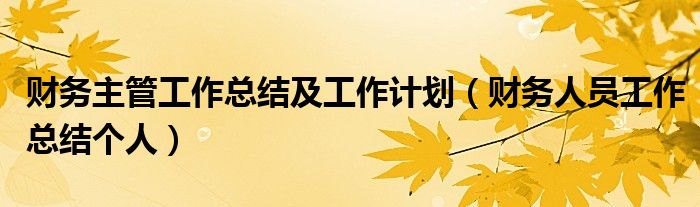 財(cái)務(wù)主管工作總結(jié)及工作計(jì)劃（財(cái)務(wù)人員工作總結(jié)個人）