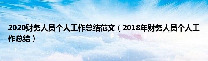 2020財務(wù)人員個人工作總結(jié)范文（2018年財務(wù)人員個人工作總結(jié)）