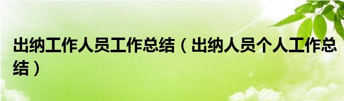 出納工作人員工作總結(jié)（出納人員個人工作總結(jié)）