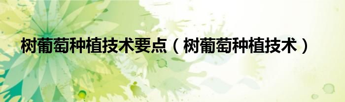 樹葡萄種植技術要點（樹葡萄種植技術）
