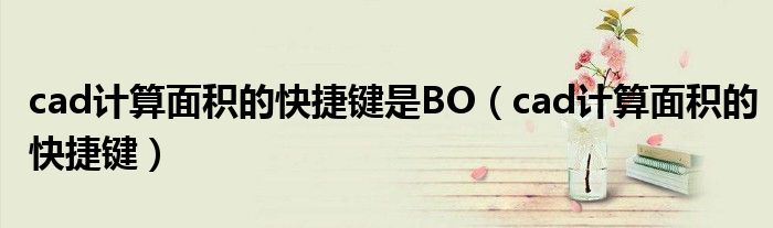 cad計(jì)算面積的快捷鍵是BO（cad計(jì)算面積的快捷鍵）