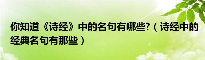 你知道《詩(shī)經(jīng)》中的名句有哪些?（詩(shī)經(jīng)中的經(jīng)典名句有那些）