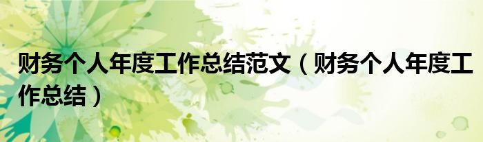財務(wù)個人年度工作總結(jié)范文（財務(wù)個人年度工作總結(jié)）