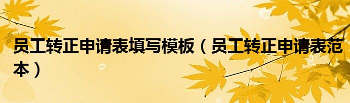 員工轉(zhuǎn)正申請表填寫模板（員工轉(zhuǎn)正申請表范本）