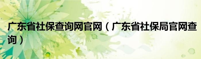 廣東省社保查詢(xún)網(wǎng)官網(wǎng)（廣東省社保局官網(wǎng)查詢(xún)）