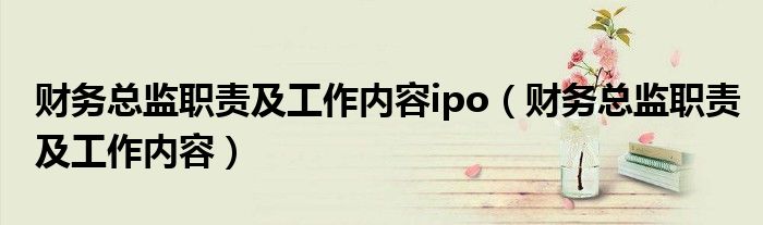 財(cái)務(wù)總監(jiān)職責(zé)及工作內(nèi)容ipo（財(cái)務(wù)總監(jiān)職責(zé)及工作內(nèi)容）