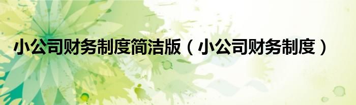 小公司財(cái)務(wù)制度簡(jiǎn)潔版（小公司財(cái)務(wù)制度）