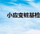 小應(yīng)變樁基檢測(cè)視頻（小應(yīng)變樁基檢測(cè)）