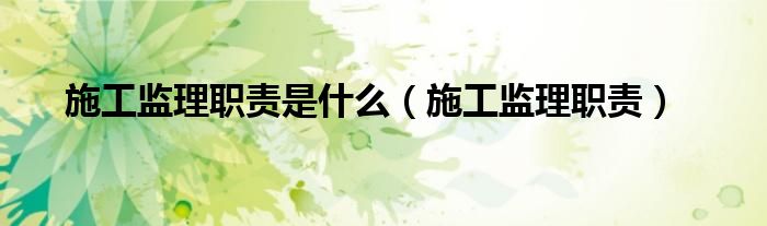 施工監(jiān)理職責(zé)是什么（施工監(jiān)理職責(zé)）