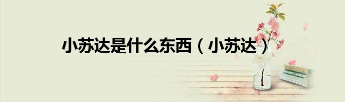小蘇達是什么東西（小蘇達）