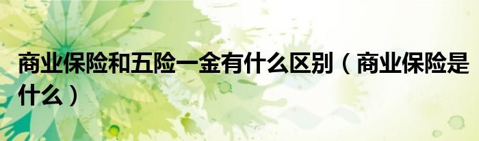 商業(yè)保險(xiǎn)和五險(xiǎn)一金有什么區(qū)別（商業(yè)保險(xiǎn)是什么）