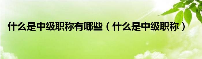 什么是中級職稱有哪些（什么是中級職稱）