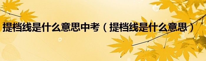 提檔線是什么意思中考（提檔線是什么意思）