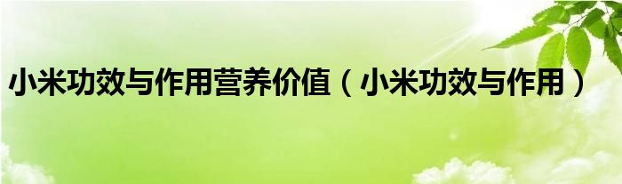 小米功效與作用營養(yǎng)價值（小米功效與作用）