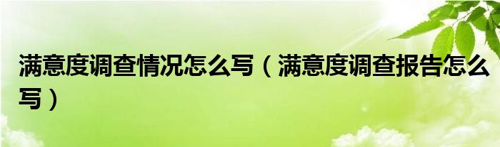 滿意度調查情況怎么寫（滿意度調查報告怎么寫）