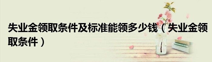 失業(yè)金領(lǐng)取條件及標(biāo)準(zhǔn)能領(lǐng)多少錢（失業(yè)金領(lǐng)取條件）