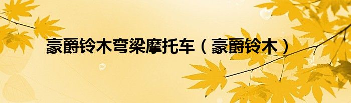 豪爵鈴木彎梁摩托車(chē)（豪爵鈴木）