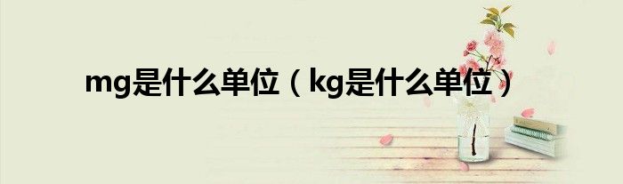 mg是什么單位（kg是什么單位）