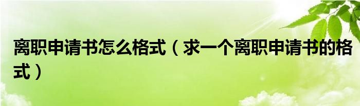 離職申請書怎么格式（求一個離職申請書的格式）