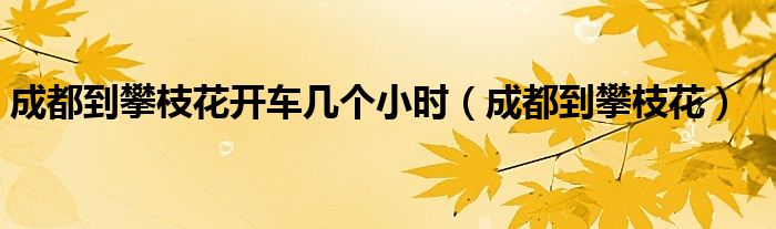 成都到攀枝花開車幾個小時（成都到攀枝花）