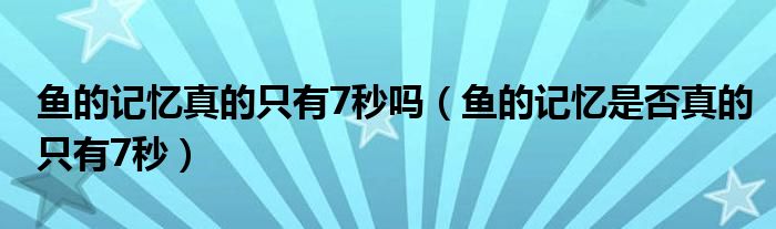 魚的記憶真的只有7秒嗎（魚的記憶是否真的只有7秒）
