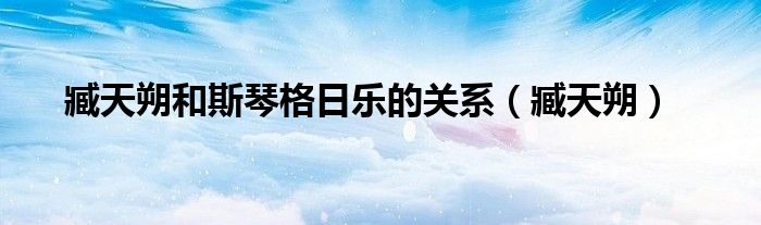 臧天朔和斯琴格日樂(lè)的關(guān)系（臧天朔）