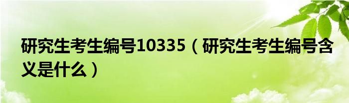研究生考生編號10335（研究生考生編號含義是什么）
