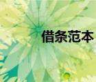 借條范本 范文（借條范本大全）