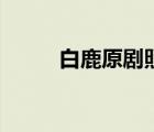白鹿原劇照白孝義（白鹿原劇照）