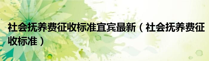 社會撫養(yǎng)費(fèi)征收標(biāo)準(zhǔn)宜賓最新（社會撫養(yǎng)費(fèi)征收標(biāo)準(zhǔn)）