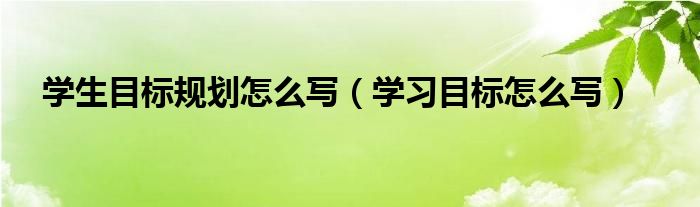 學(xué)生目標(biāo)規(guī)劃怎么寫（學(xué)習(xí)目標(biāo)怎么寫）