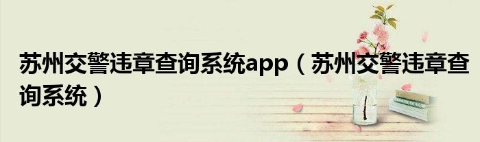 蘇州交警違章查詢系統(tǒng)app（蘇州交警違章查詢系統(tǒng)）