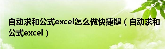 自動求和公式excel怎么做快捷鍵（自動求和公式excel）