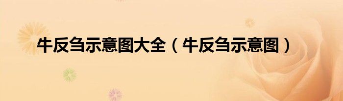 牛反芻示意圖大全（牛反芻示意圖）
