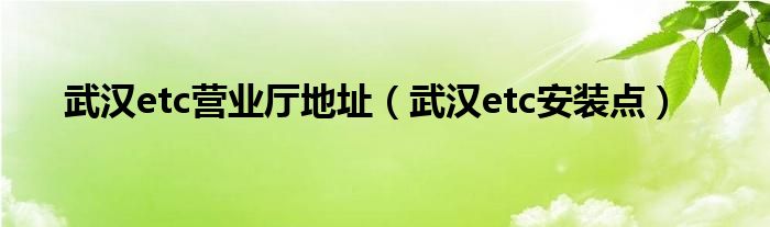 武漢etc營業(yè)廳地址（武漢etc安裝點）