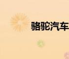 駱駝汽車電瓶價格（電瓶價格）