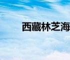 西藏林芝海拔多高（拉薩海拔高度）