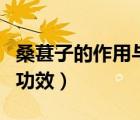 桑葚子的作用與功效有什么（桑葚子的作用與功效）