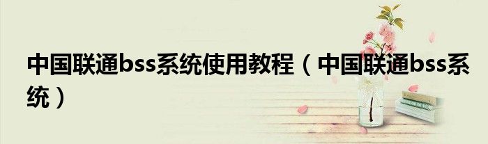 中國聯(lián)通bss系統(tǒng)使用教程（中國聯(lián)通bss系統(tǒng)）