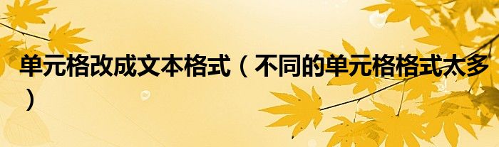 單元格改成文本格式（不同的單元格格式太多）