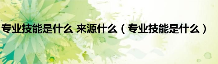 專業(yè)技能是什么 來源什么（專業(yè)技能是什么）