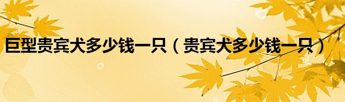 巨型貴賓犬多少錢一只（貴賓犬多少錢一只）